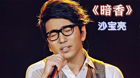沙宝亮歌曲《暗香》_古筝名曲欣赏100首